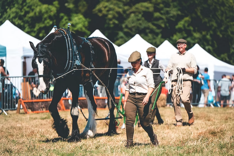 Northants Country Show